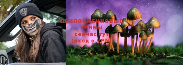 стаф Алексин