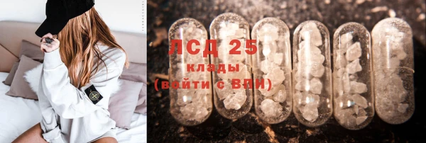 стаф Алексин