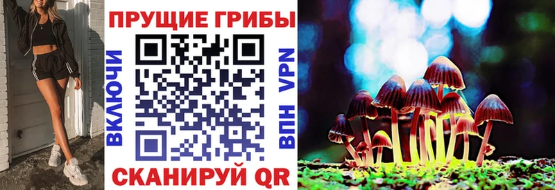 где можно купить наркотик  Щёкино  Галлюциногенные грибы MAGIC MUSHROOMS 